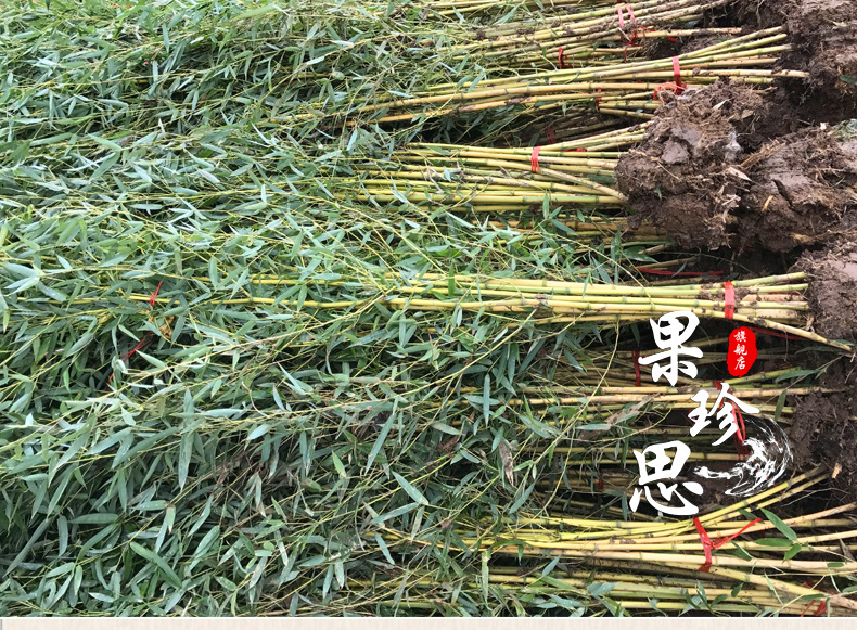 现将有关情况续报如下