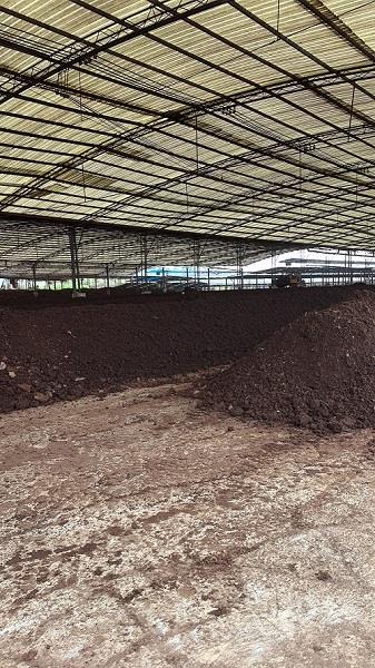 项目负责人姚宗路研究员、冯晶研究员及各课题骨干共计50余人参会研讨