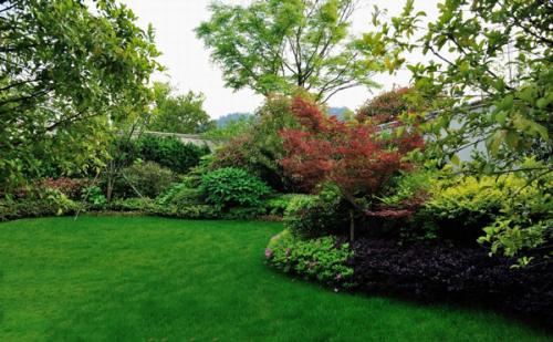 从品种改良的源头突破